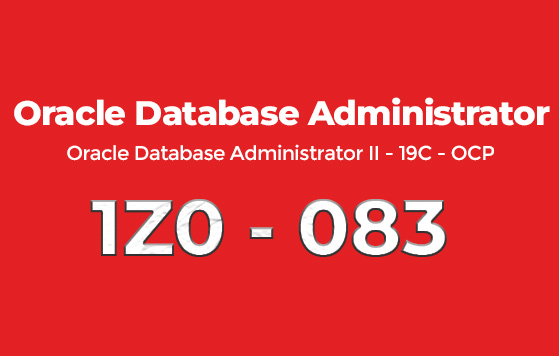 idt formation oracle Database Administrator